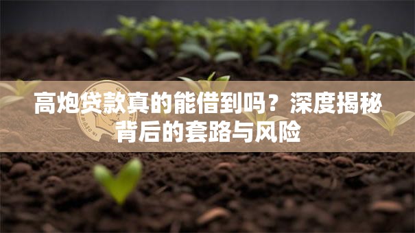 高炮贷款真的能借到吗？深度揭秘背后的套路与风险