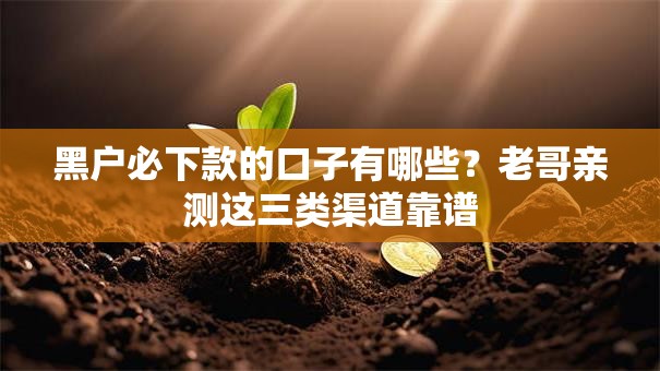 黑户必下款的口子有哪些?老哥亲测这三类渠道靠谱 黑户必下款的口子有哪些?老哥亲测这三类渠道靠谱