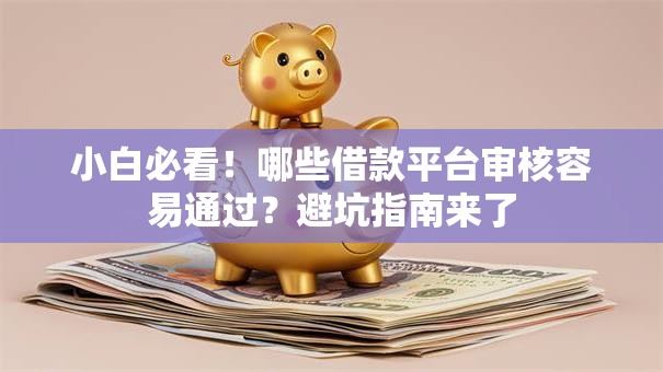 小白必看！哪些借款平台审核容易通过？避坑指南来了