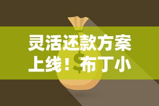 灵活还款方案上线！布丁小贷新政策如何解决资金难题？