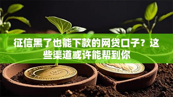 征信黑了也能下款的网贷口子？这些渠道或许能帮到你
