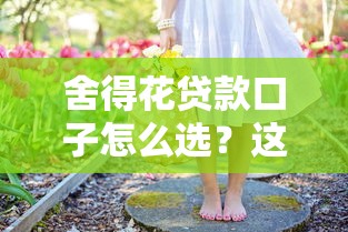 舍得花贷款口子怎么选？这些避坑细节你必须知道
