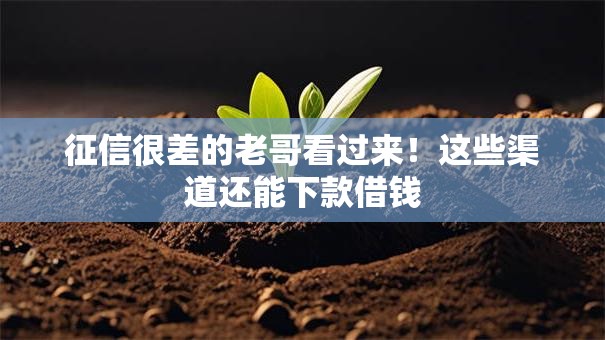 征信很差的老哥看过来!这些渠道还能下款借钱 征信很差的老哥看过来!这些渠道还能下款借钱