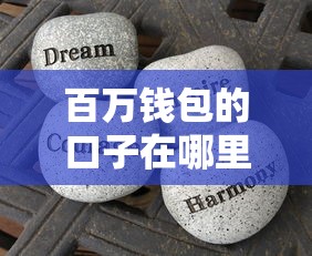 百万钱包的口子在哪里?真实经验分享这些靠谱渠道 百万钱包的口子在哪里?真实经验分享这些靠谱渠道