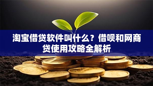 淘宝借贷软件叫什么?借呗和网商贷使用攻略全解析 淘宝借贷软件叫什么?借呗和网商贷使用攻略全解析