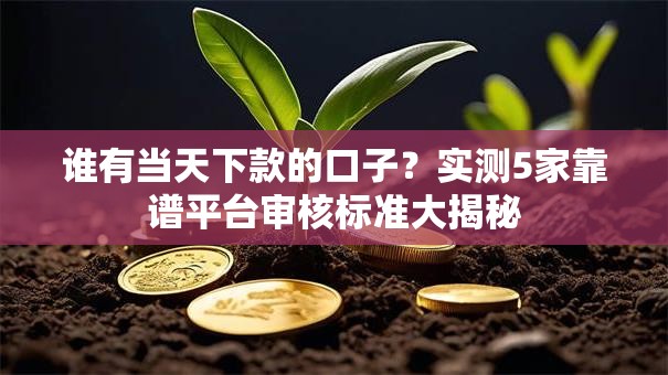 谁有当天下款的口子?实测5家靠谱平台审核标准大揭秘 谁有当天下款的口子?实测5家靠谱平台审核标准大揭秘