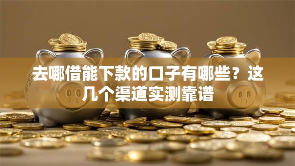 去哪借能下款的口子有哪些?这几个渠道实测靠谱 去哪借能下款的口子有哪些?这几个渠道实测靠谱