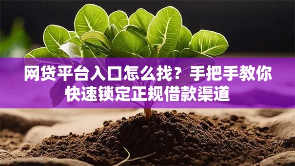 网贷平台入口怎么找?手把手教你快速锁定正规借款渠道 网贷平台入口怎么找?手把手教你快速锁定正规借款渠道