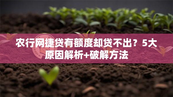 农行网捷贷有额度却贷不出?5大原因解析+破解方法 农行网捷贷有额度却贷不出?5大原因解析+破解方法