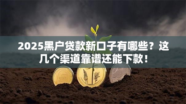 2025黑户贷款新口子有哪些?这几个渠道靠谱还能下款! 2025黑户贷款新口子有哪些?这几个渠道靠谱还能下款!