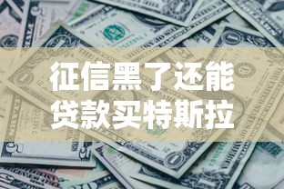 征信黑了还能贷款买特斯拉吗?真实案例+解决方案全解析 征信黑了还能贷款买特斯拉吗?真实案例+解决方案全解析
