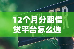 12个月分期借贷平台怎么选?避坑指南与靠谱推荐深度解析 12个月分期借贷平台怎么选?避坑指南与靠谱推荐深度解析
