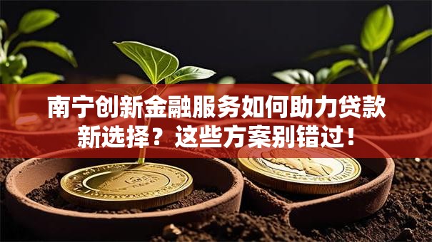 南宁创新金融服务如何助力贷款新选择?这些方案别错过! 南宁创新金融服务如何助力贷款新选择?这些方案别错过!