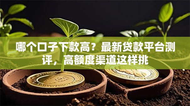 哪个口子下款高？最新贷款平台测评，高额度渠道这样挑