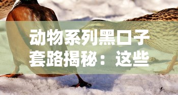 动物系列黑口子套路揭秘:这些贷款陷阱如何让借款人深陷泥潭 动物系列黑口子套路揭秘:这些贷款陷阱如何让借款人深陷泥潭