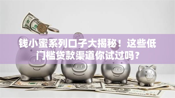 钱小蜜系列口子大揭秘！这些低门槛贷款渠道你试过吗？