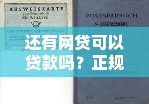 还有网贷可以贷款吗?正规平台选择与避坑指南 还有网贷可以贷款吗?正规平台选择与避坑指南