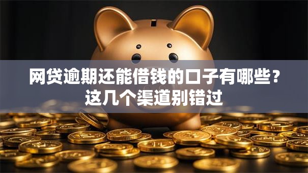网贷逾期还能借钱的口子有哪些？这几个渠道别错过