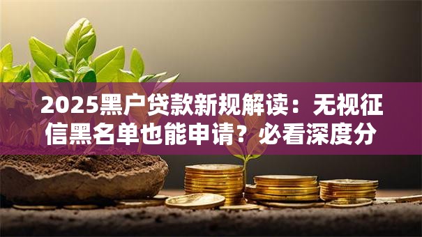 2025黑户贷款新规解读：无视征信黑名单也能申请？必看深度分析
