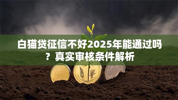 白猫贷征信不好2025年能通过吗?真实审核条件解析 白猫贷征信不好2025年能通过吗?真实审核条件解析