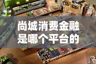 尚城消费金融是哪个平台的贷款产品?正规性深度解析 尚城消费金融是哪个平台的贷款产品?正规性深度解析