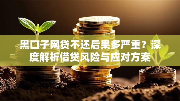 黑口子网贷不还后果多严重？深度解析借贷风险与应对方案
