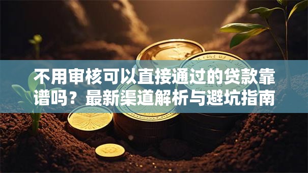 不用审核可以直接通过的贷款靠谱吗？最新渠道解析与避坑指南