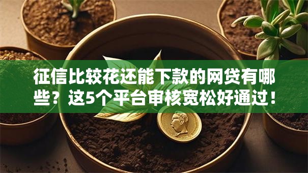 征信比较花还能下款的网贷有哪些？这5个平台审核宽松好通过！