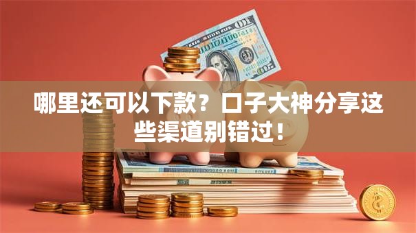 哪里还可以下款？口子大神分享这些渠道别错过！