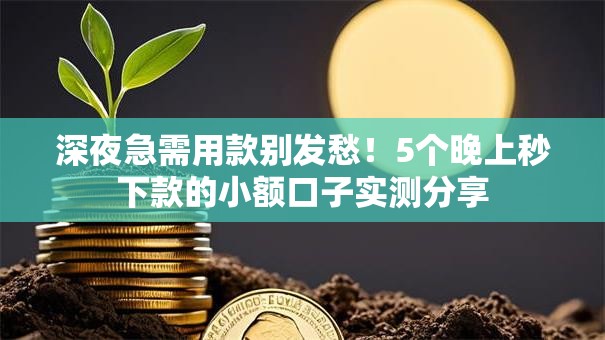 深夜急需用款别发愁！5个晚上秒下款的小额口子实测分享