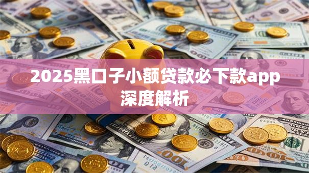 2025黑口子小额贷款必下款app深度解析
