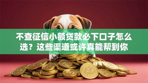不查征信小额贷款必下口子怎么选？这些渠道或许真能帮到你