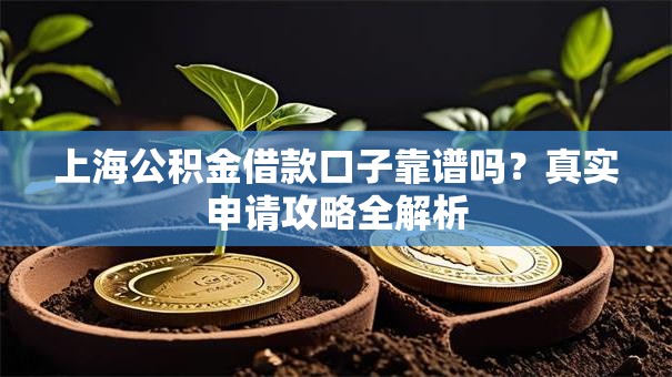 上海公积金借款口子靠谱吗？真实申请攻略全解析