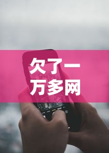 欠了一万多网贷怎么办?过来人分享实用还款攻略 欠了一万多网贷怎么办?过来人分享实用还款攻略