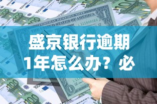 盛京银行逾期1年怎么办？必看攻略+贷款逾期处理技巧