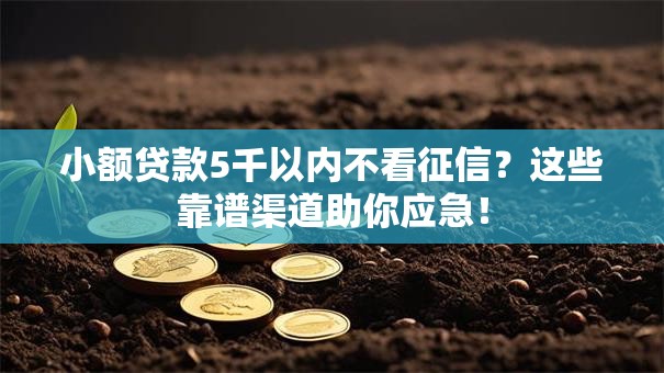 小额贷款5千以内不看征信？这些靠谱渠道助你应急！