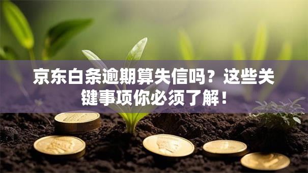 京东白条逾期算失信吗？这些关键事项你必须了解！