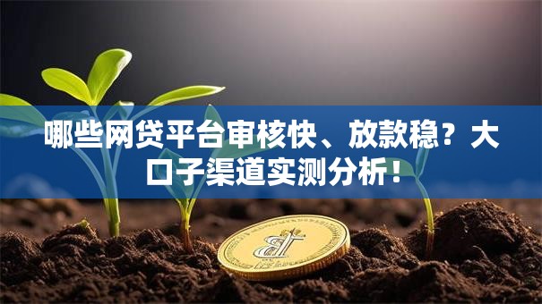 哪些网贷平台审核快、放款稳?大口子渠道实测分析! 哪些网贷平台审核快、放款稳?大口子渠道实测分析!