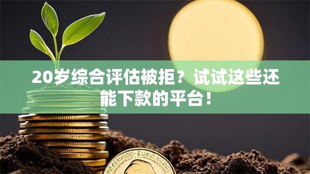 20岁综合评估被拒？试试这些还能下款的平台！