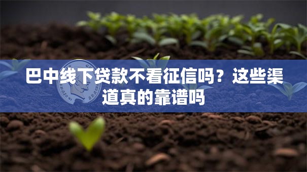 巴中线下贷款不看征信吗？这些渠道真的靠谱吗