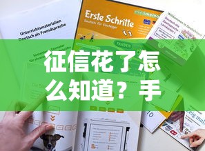 征信花了怎么知道?手把手教你自查方法+修复技巧 征信花了怎么知道?手把手教你自查方法+修复技巧