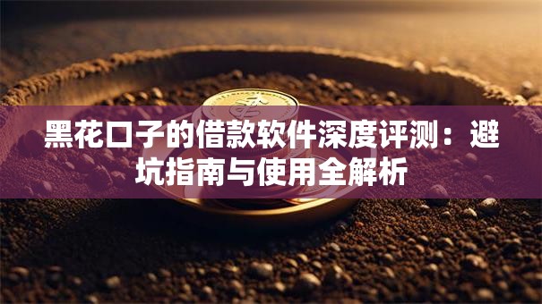 黑花口子的借款软件深度评测：避坑指南与使用全解析
