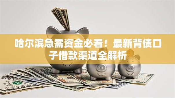哈尔滨急需资金必看!最新背债口子借款渠道全解析 哈尔滨急需资金必看!最新背债口子借款渠道全解析