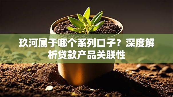 玖河属于哪个系列口子？深度解析贷款产品关联性