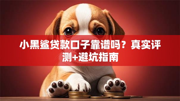 小黑鲨贷款口子靠谱吗？真实评测+避坑指南