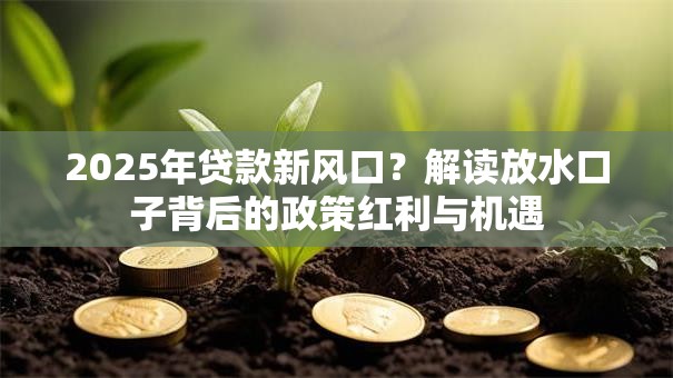 2025年贷款新风口？解读放水口子背后的政策红利与机遇