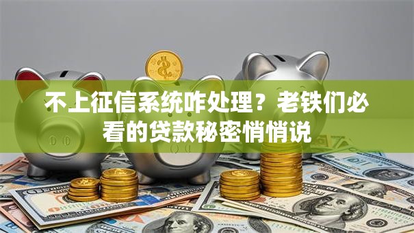 不上征信系统咋处理？老铁们必看的贷款秘密悄悄说