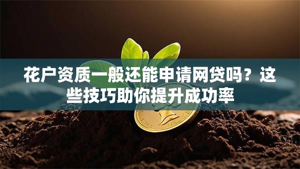 花户资质一般还能申请网贷吗？这些技巧助你提升成功率