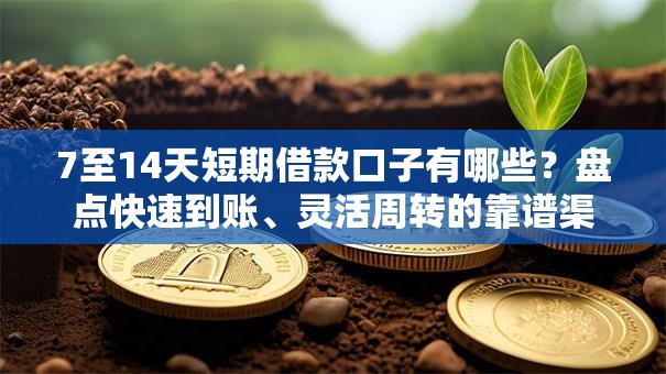 7至14天短期借款口子有哪些?盘点快速到账、灵活周转的靠谱渠道 7至14天短期借款口子有哪些?盘点快速到账、灵活周转的靠谱渠道
