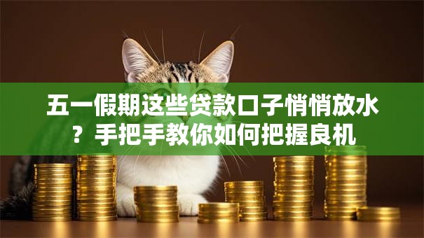 五一假期这些贷款口子悄悄放水?手把手教你如何把握良机 五一假期这些贷款口子悄悄放水?手把手教你如何把握良机